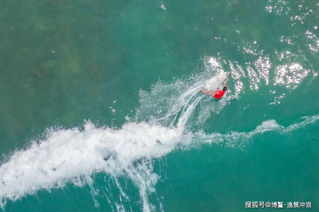 亲爱的金主大人
