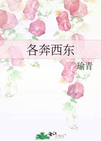 88影视