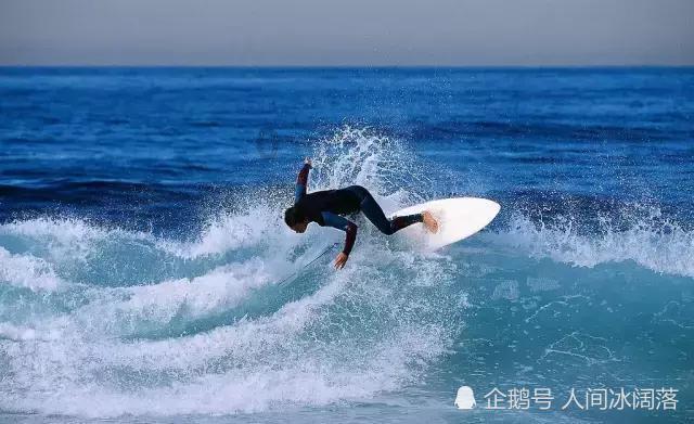 培养“政采明白人”,内蒙古印发通知建立政府采购专管员制度