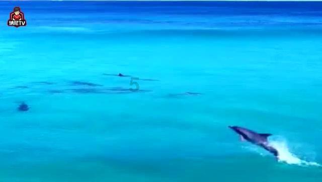 九州海上牧云记