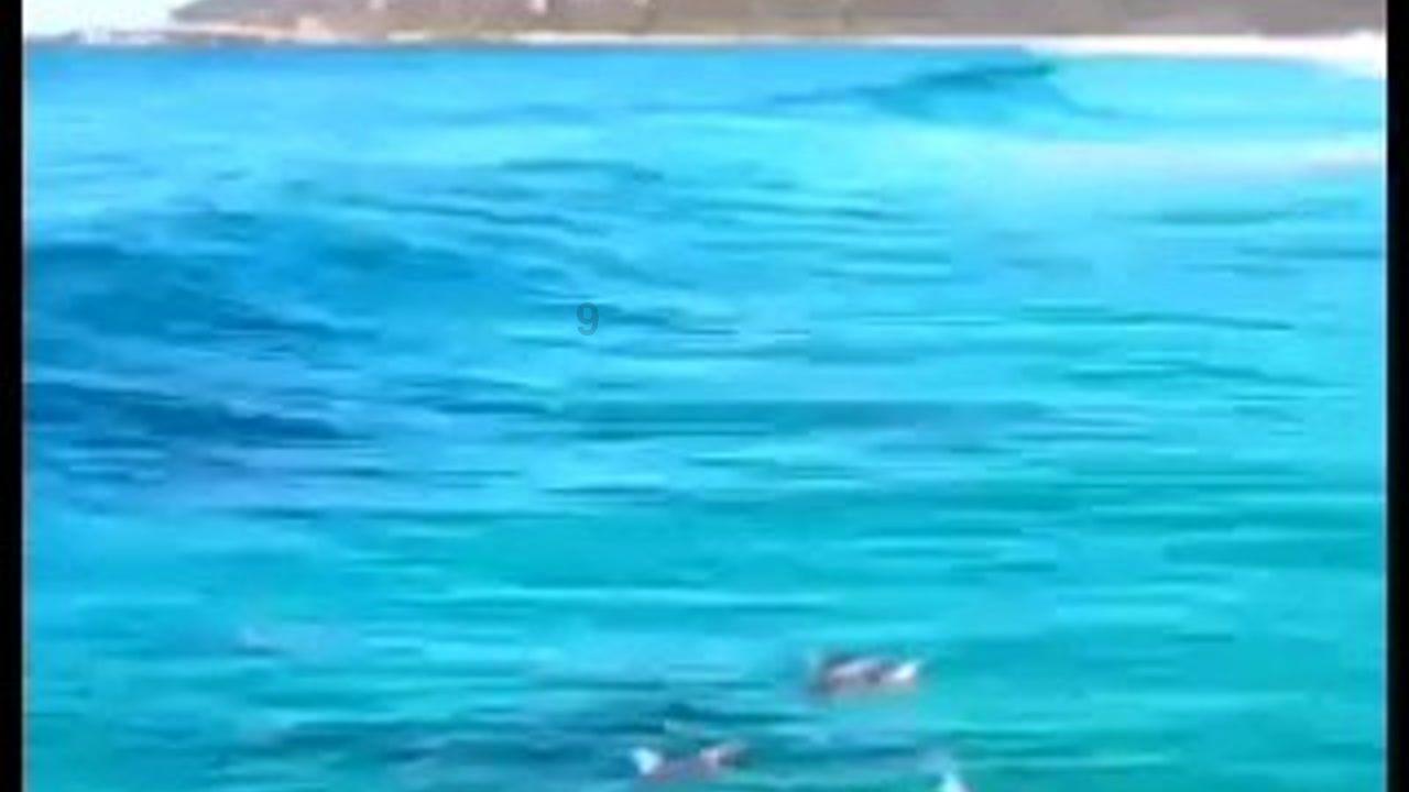 次元喵