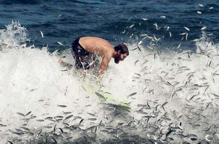 海滩宾馆逃生