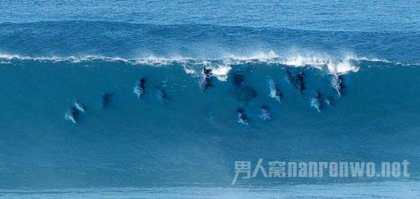 召唤神龙万宁版祖龙