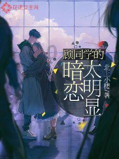 88影视