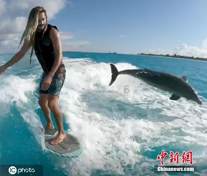 虫虫助手下载
