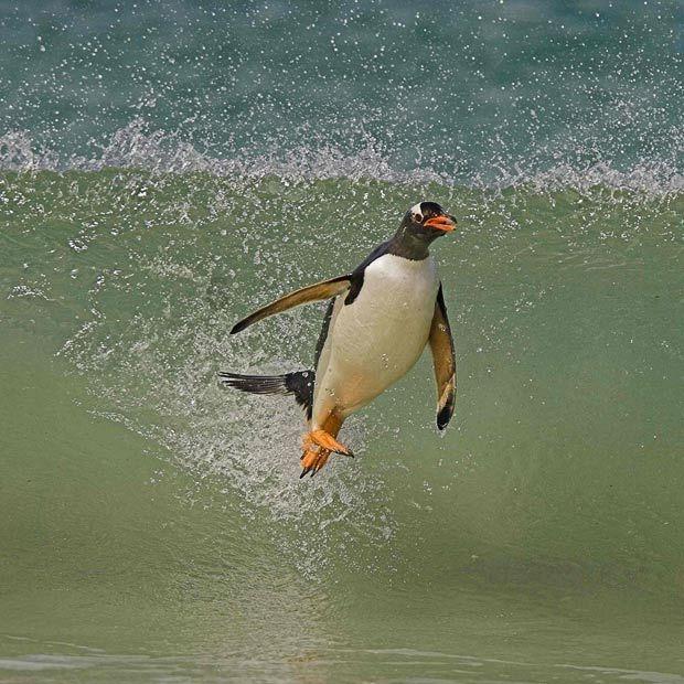 实况足球