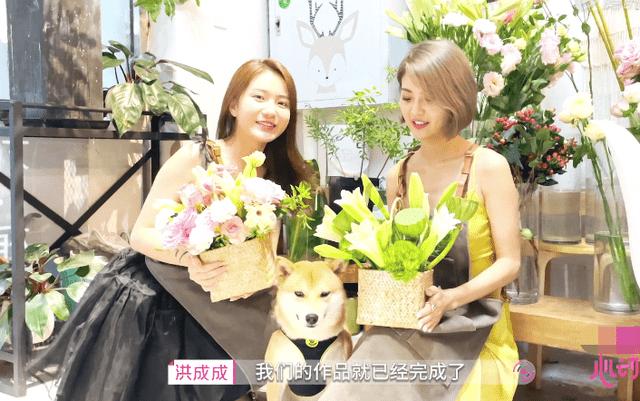 春雨直播app