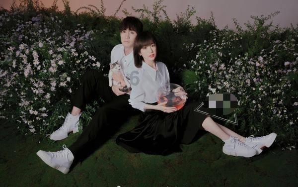 琴鸟的雄性是怎样求偶呢？游戏画面