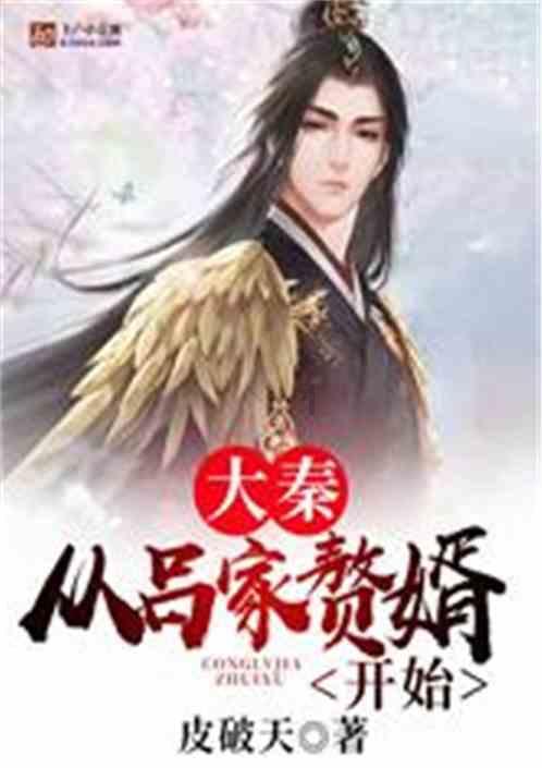 绯雨骑士团