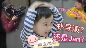 创作猫