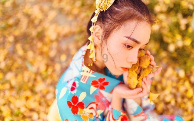 诺曼底44