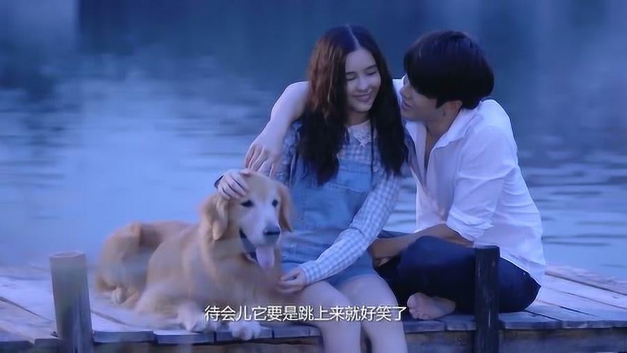 动物帮帮忙保卫家园