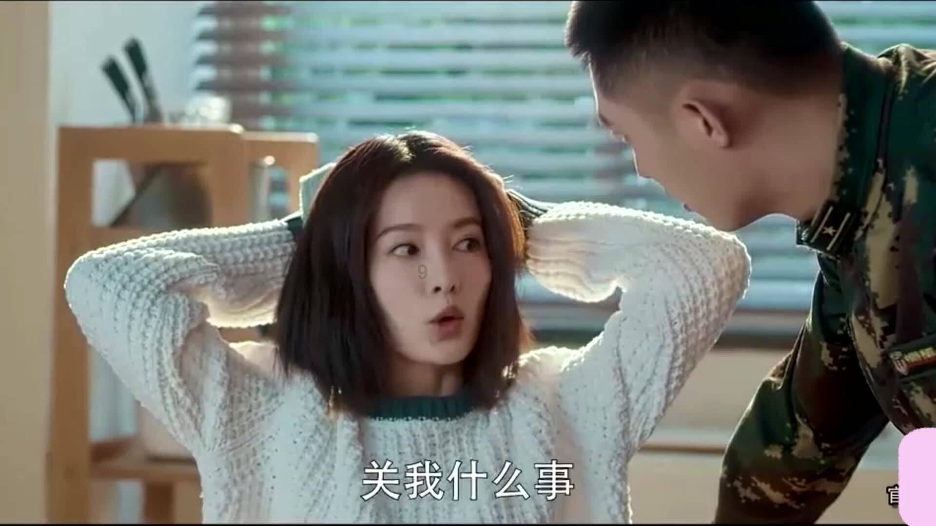 模拟农场17