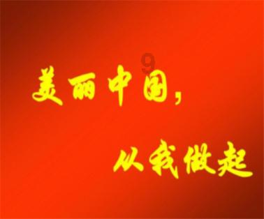 救援猫与武士