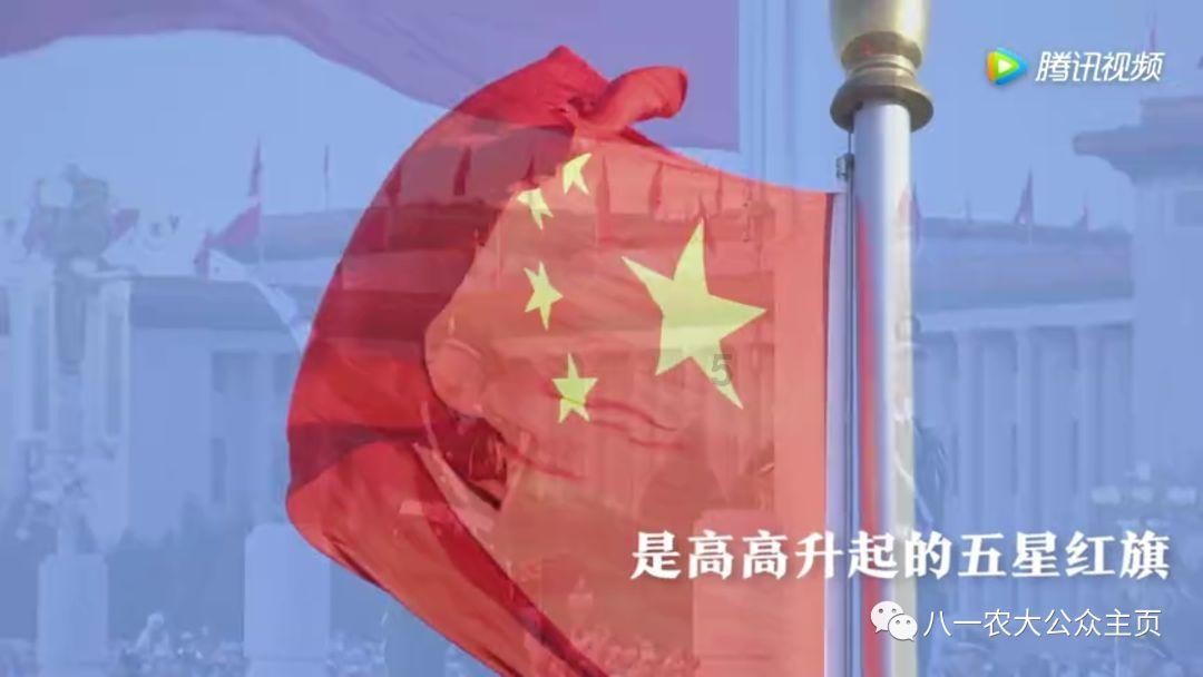 春雨直播app