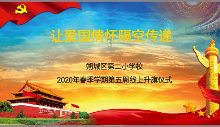 漂亮鹦鹉救援