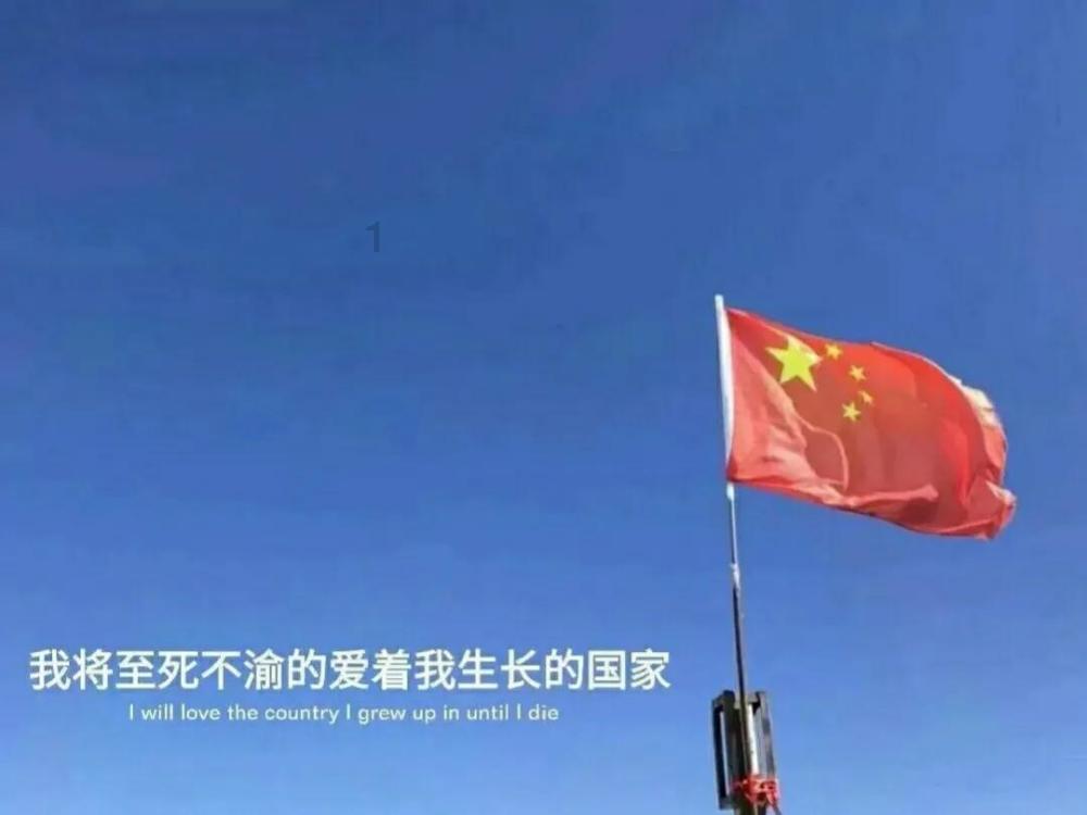 春雨直播app