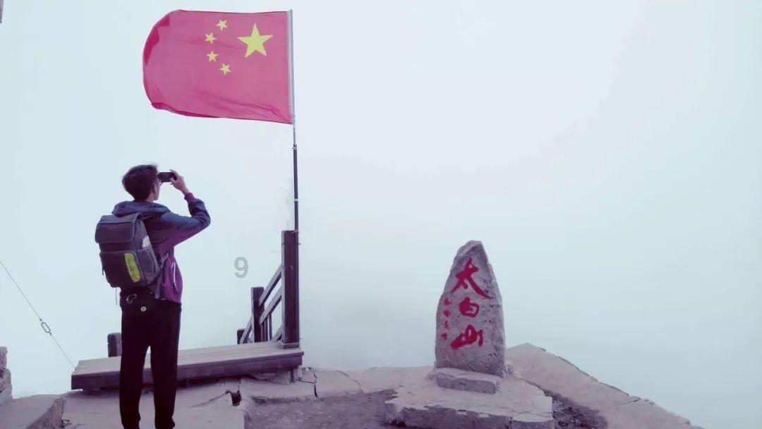 动物帮帮忙保卫家园