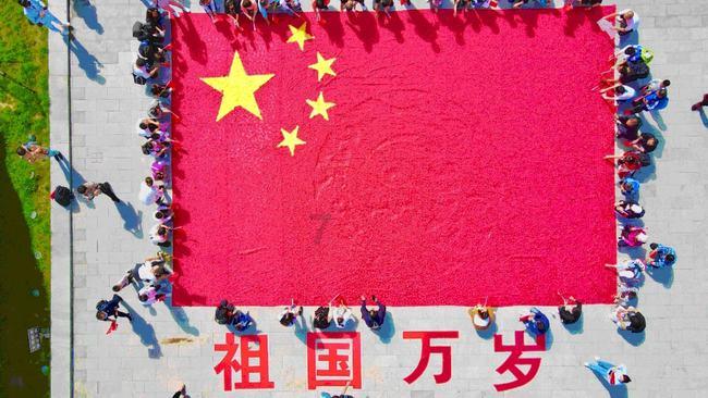 小猫钓鱼正版下载中文版