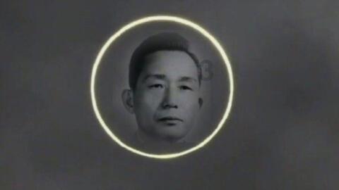 森林的奇迹