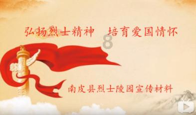 新探针可高清记录深脑活动