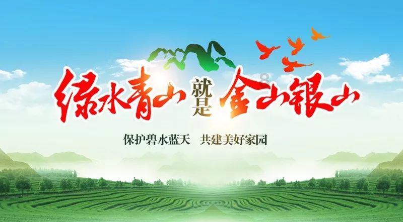 88影视