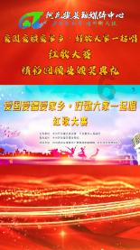 拯救机灵鸟