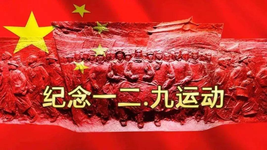 飞扬的独眼鸟