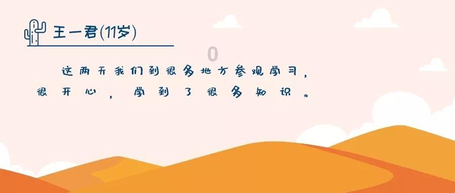创作猫