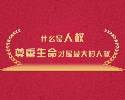 佛山五区区长聊发展，2024年这样干！
