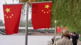 小猫钓鱼游戏龙王版有船