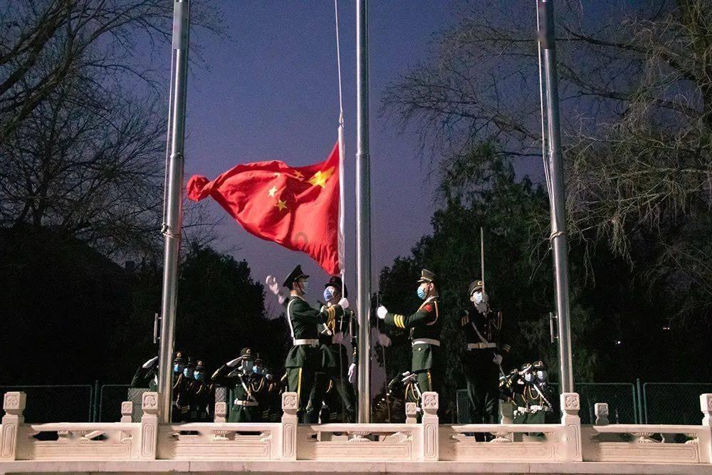 漂亮鹦鹉救援
