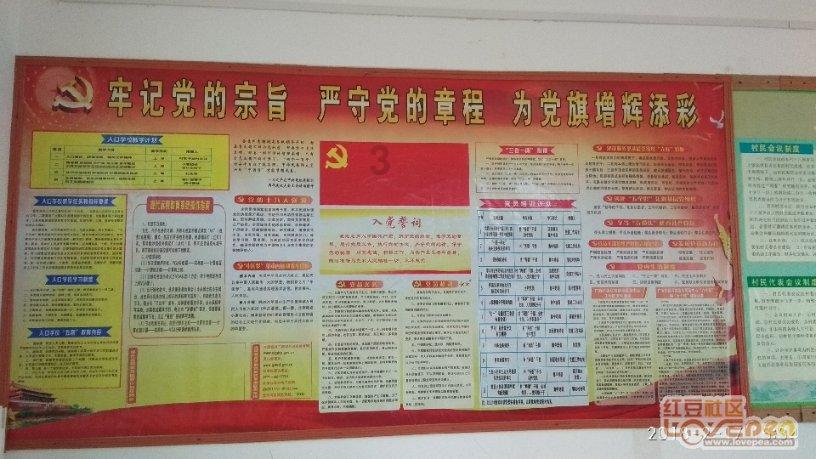 小猫钓鱼开船版最新版下载