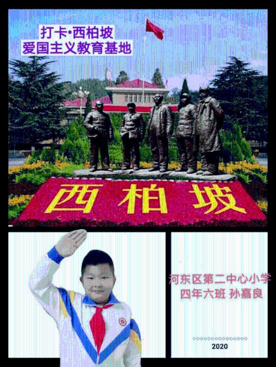 凤凰不好惹