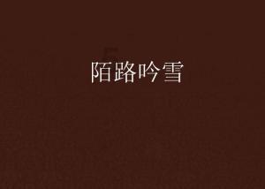 小猫钓鱼游戏龙王版有船