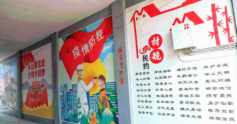 春雨直播app
