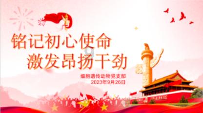 战场女武神
