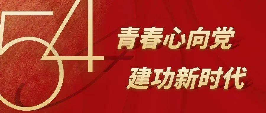 动物拼一拼