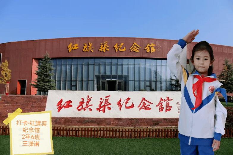 哪些花适合养在家里,花期长容易生长?-专业知识星球,助你进阶成为行业顶尖人才