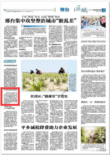 全民烧脑3去广告版