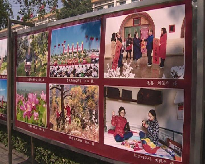 深度解密-蒲瓜为什么只长藤不结果呢?蜗牛问答平台