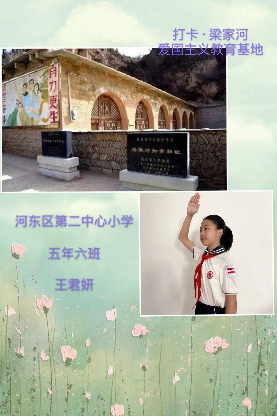 蓝狐视频