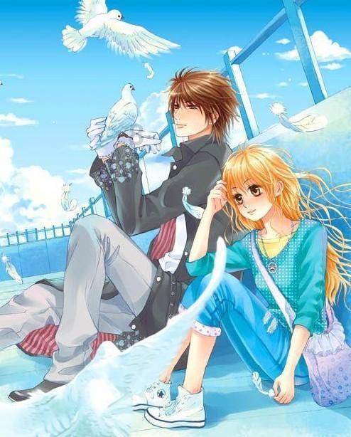 创作猫