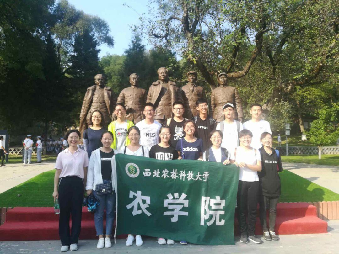 胎儿在羊水里为什么不呛？游戏画面