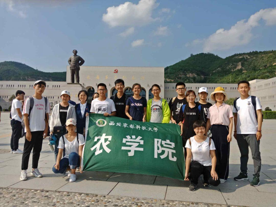 小猫钓鱼开船版最新版下载
