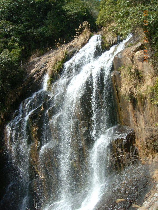 沈阳文旅“冬日雪暖阳”免费直通车又叒叕上新啦