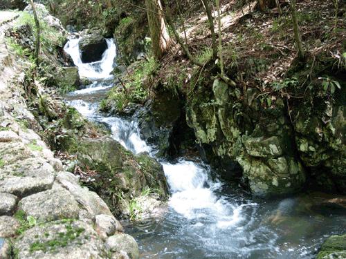 喜剧电影《银河写手》定档3月30日 编剧化身乙方嘴替好笑戳心