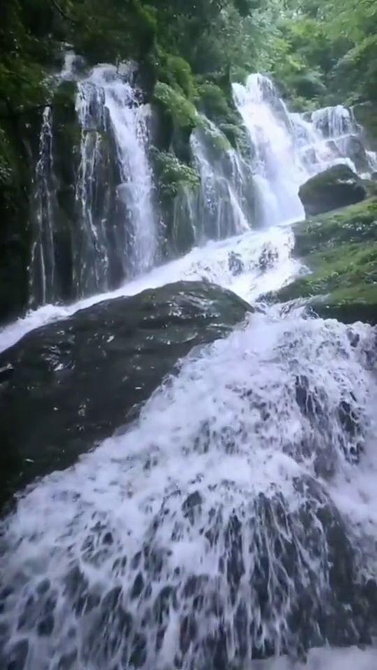 蓝狐视频