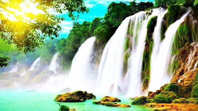 带你揭秘——风油精止痒的秘密