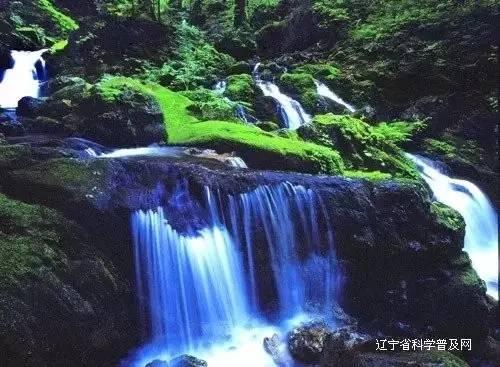 召唤神龙万宁版祖龙